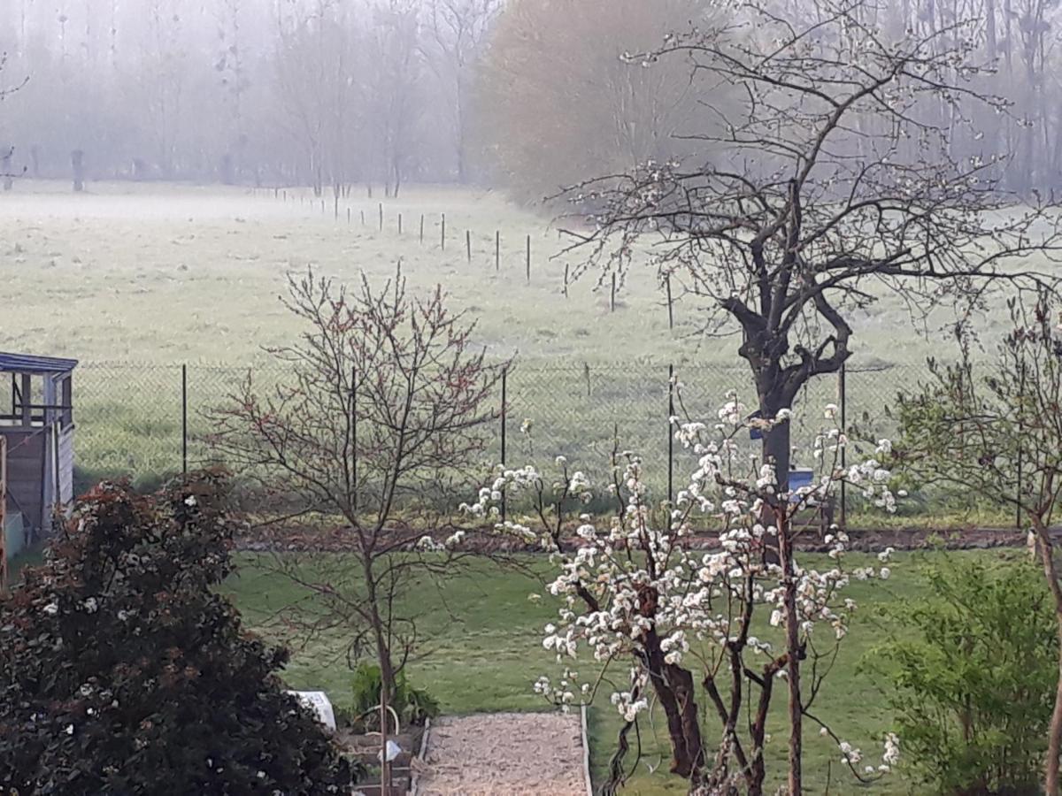 Bedloire Bed & Breakfast Drain Eksteriør bilde