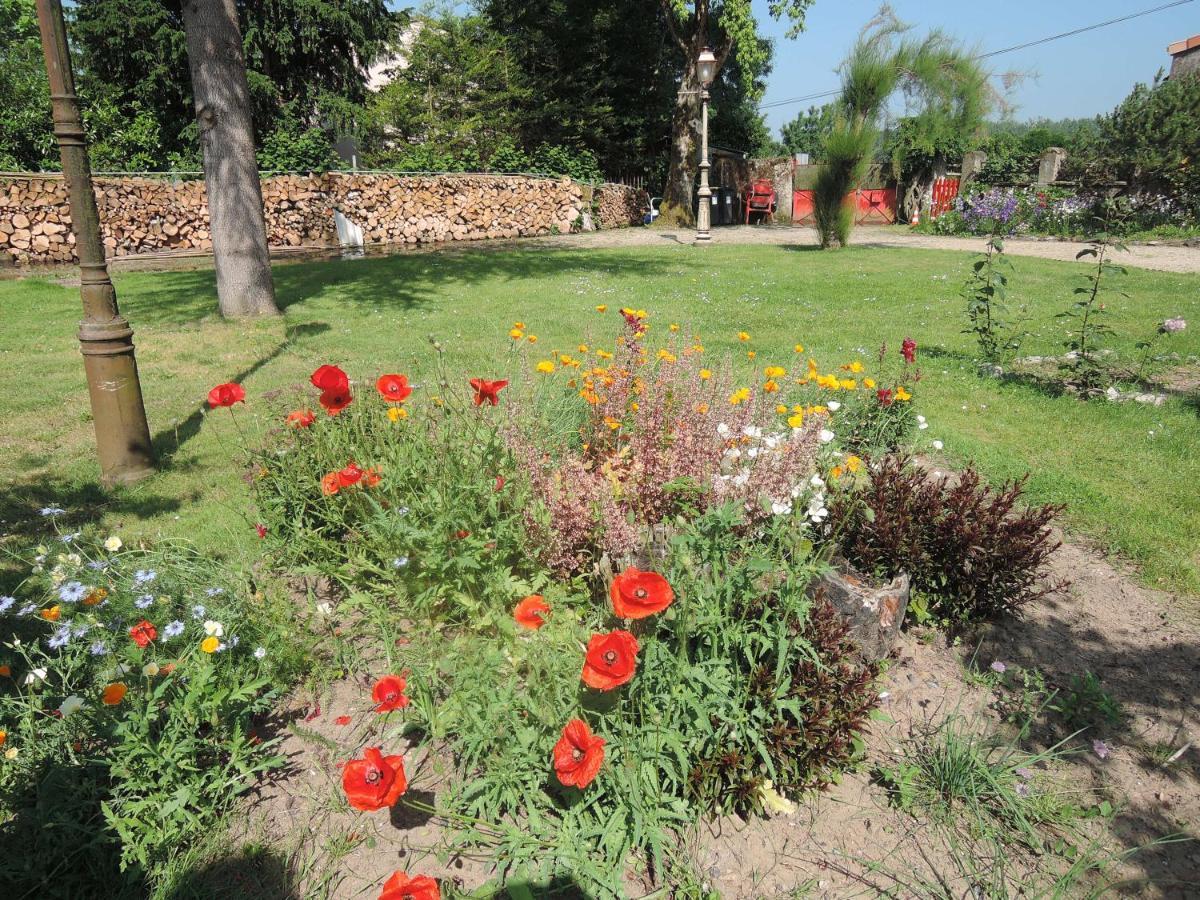 Bedloire Bed & Breakfast Drain Eksteriør bilde